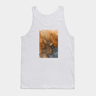 Burnt Orange Rustic Stone Texture Tank Top